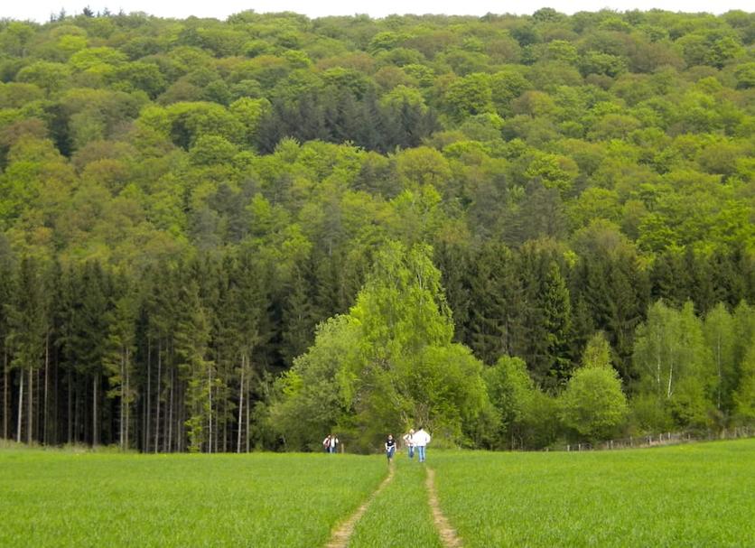 Outdoor view Photo