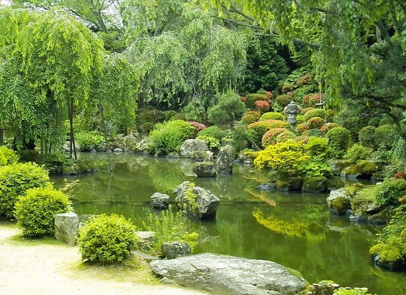 Outdoor view Photo