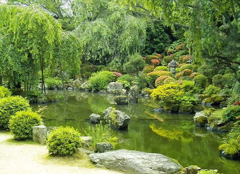 Outdoor view Photo