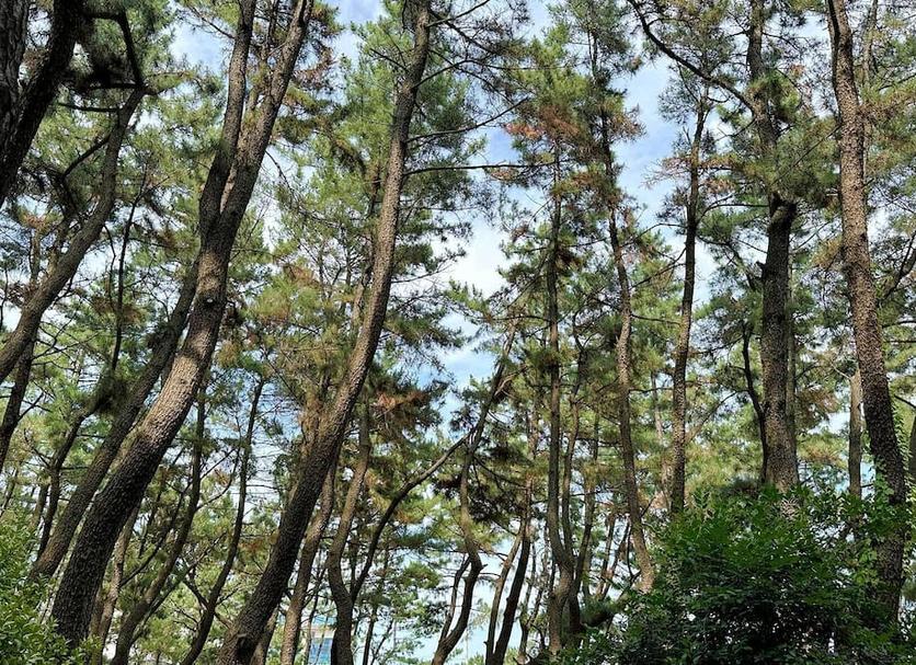 Outdoor view Photo