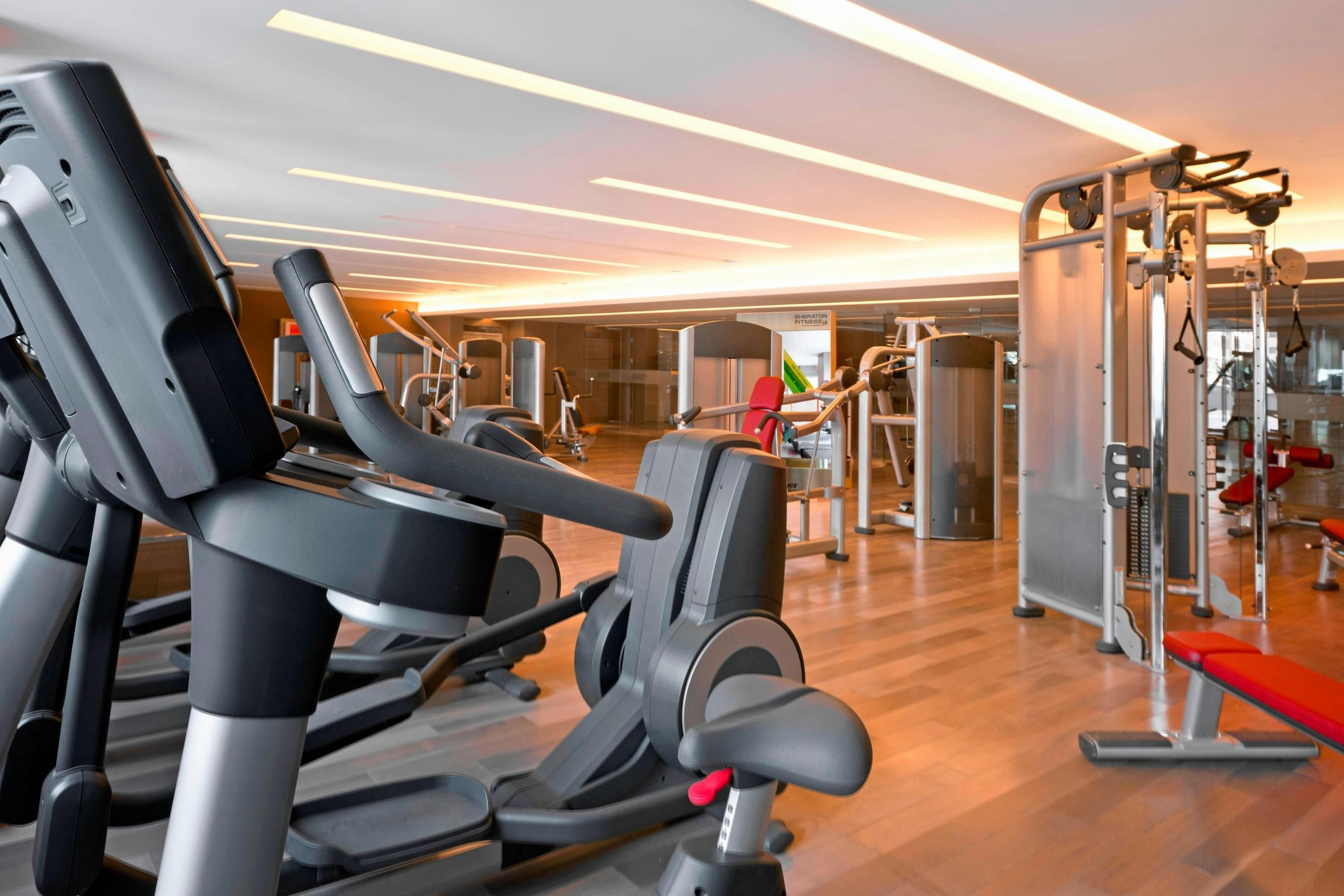 Gym
