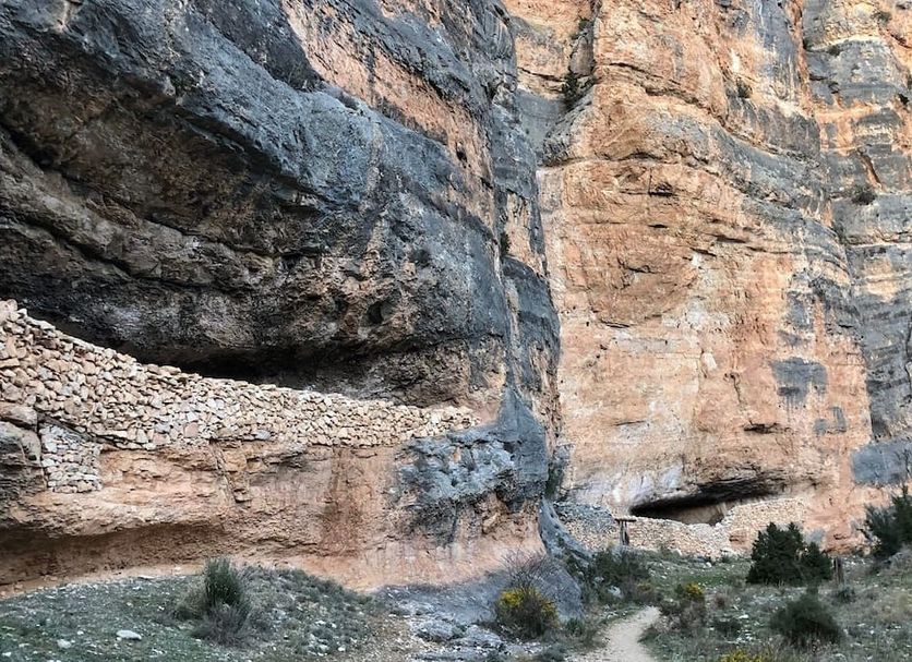 Other Photo