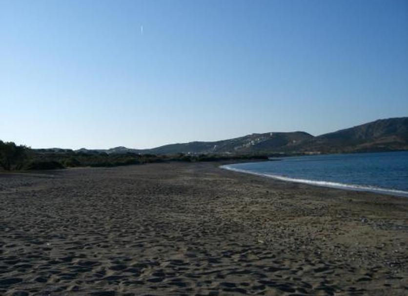 Other Photo
