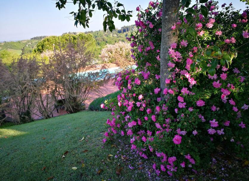Outdoor view Photo