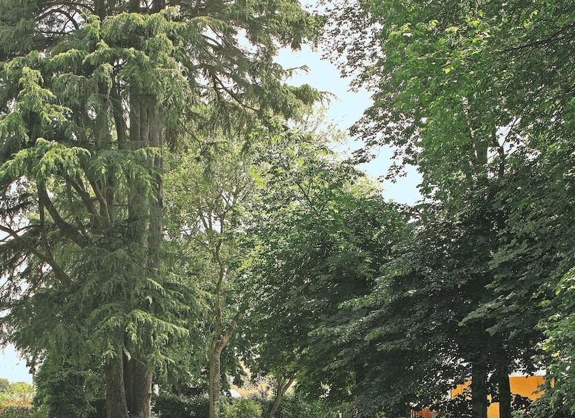 Outdoor view Photo