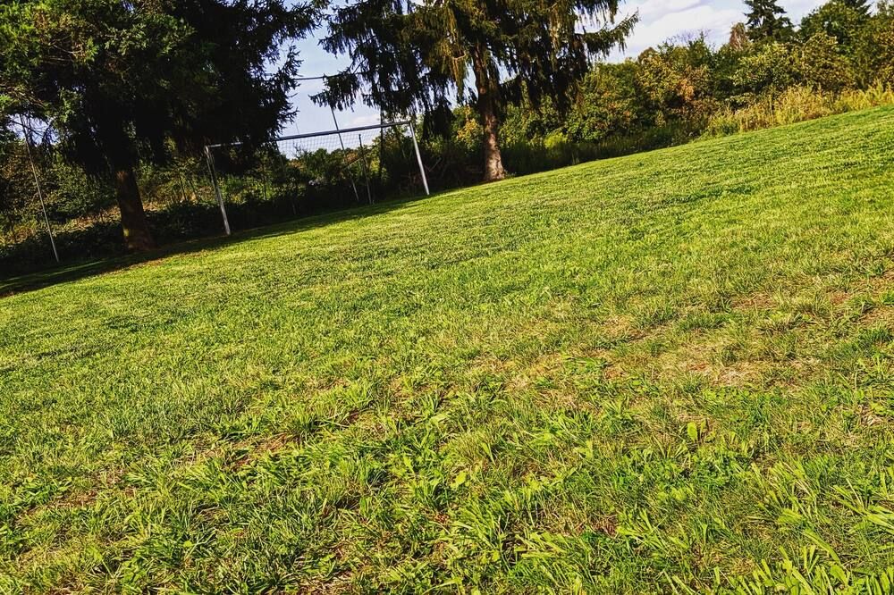 Outdoor view