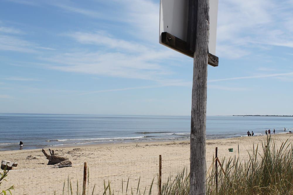 Beach Photo
