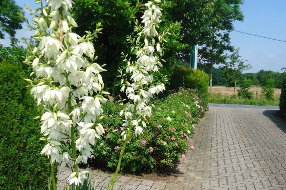 Outdoor view