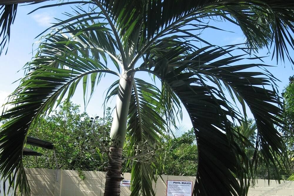Outdoor view