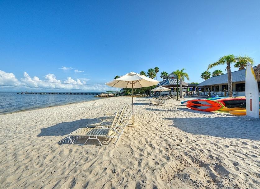 Beach Photo