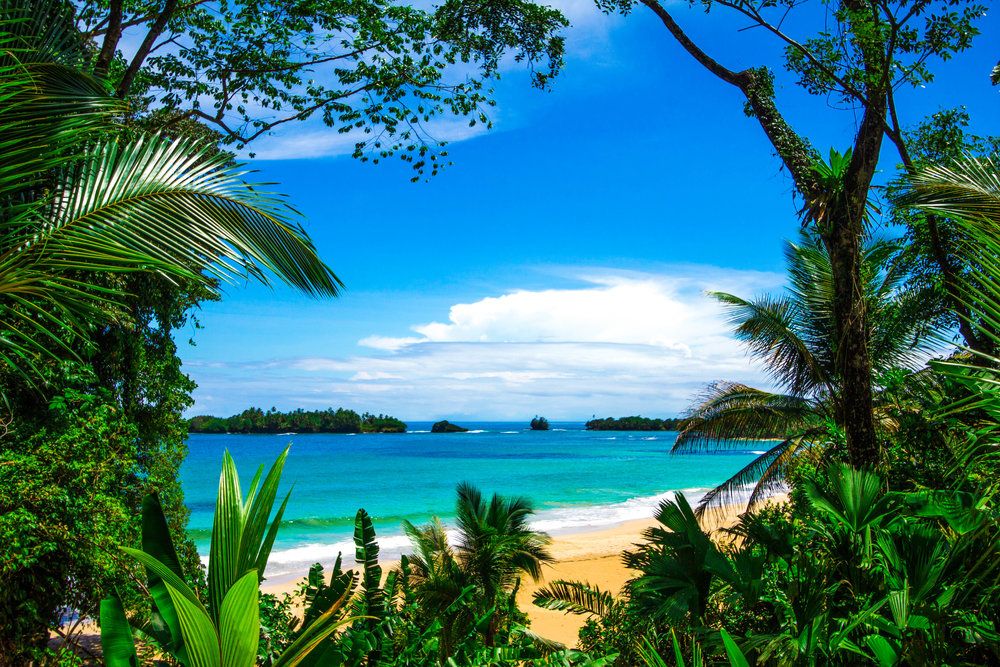 Beach