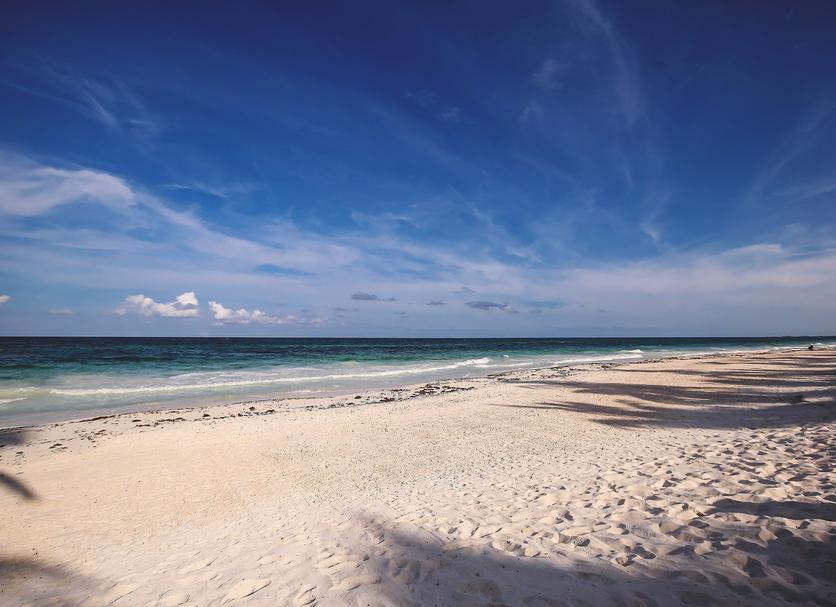 Beach Photo
