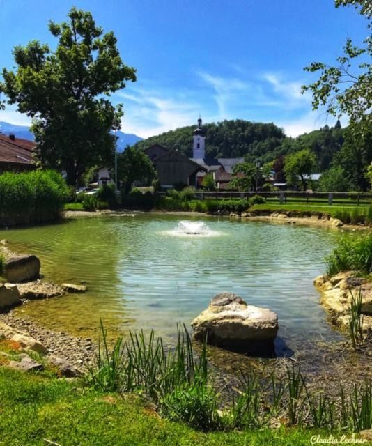 Outdoor view