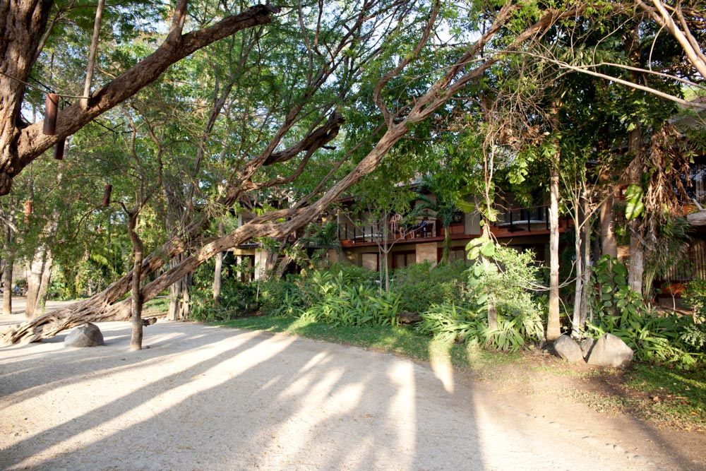 Outdoor view
