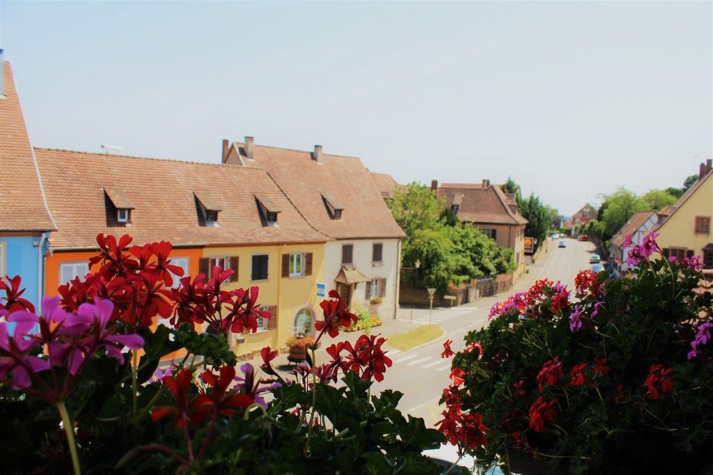 Outdoor view