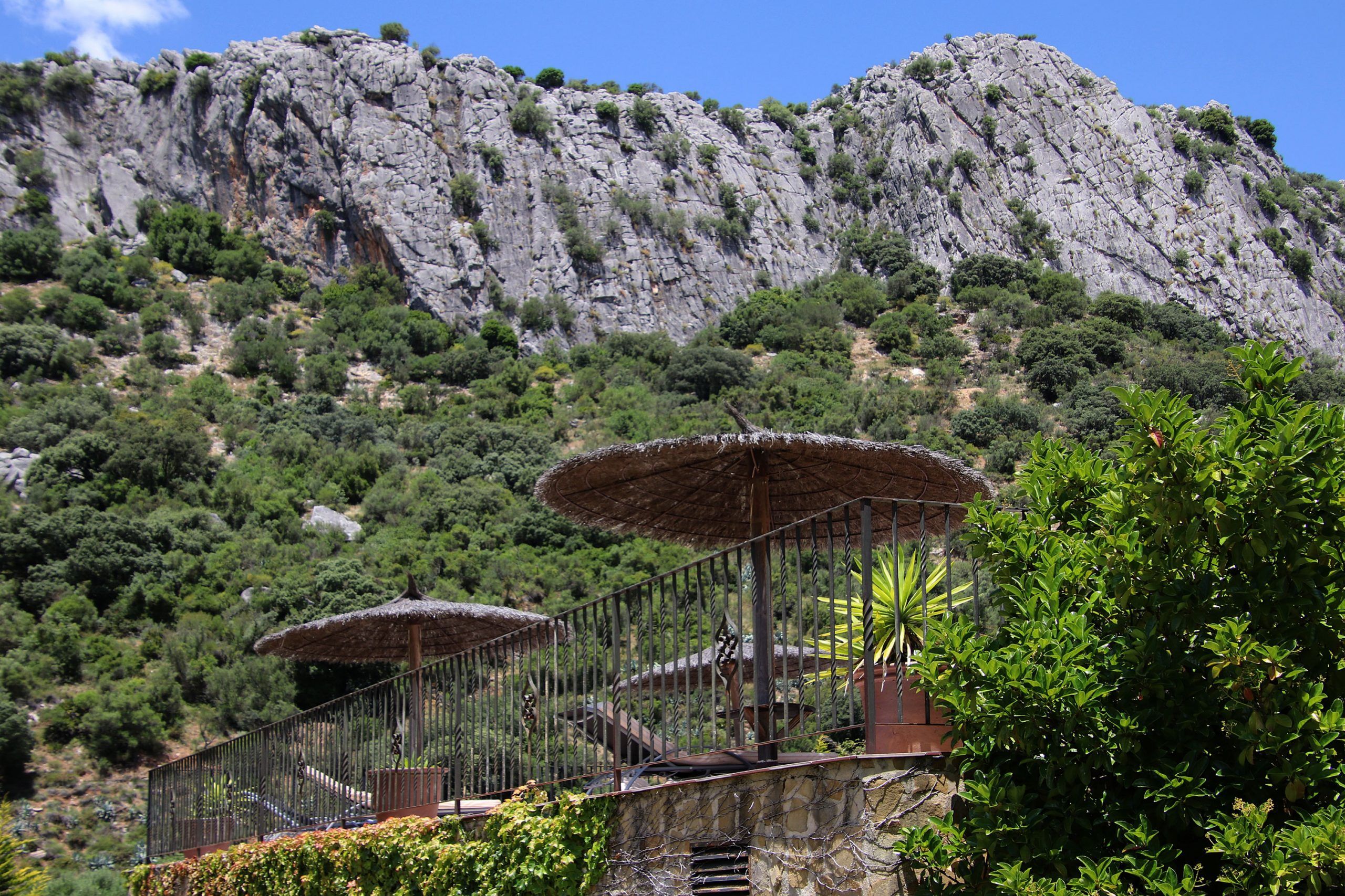 Outdoor view