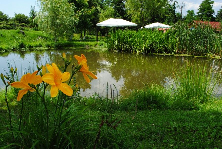 Outdoor view