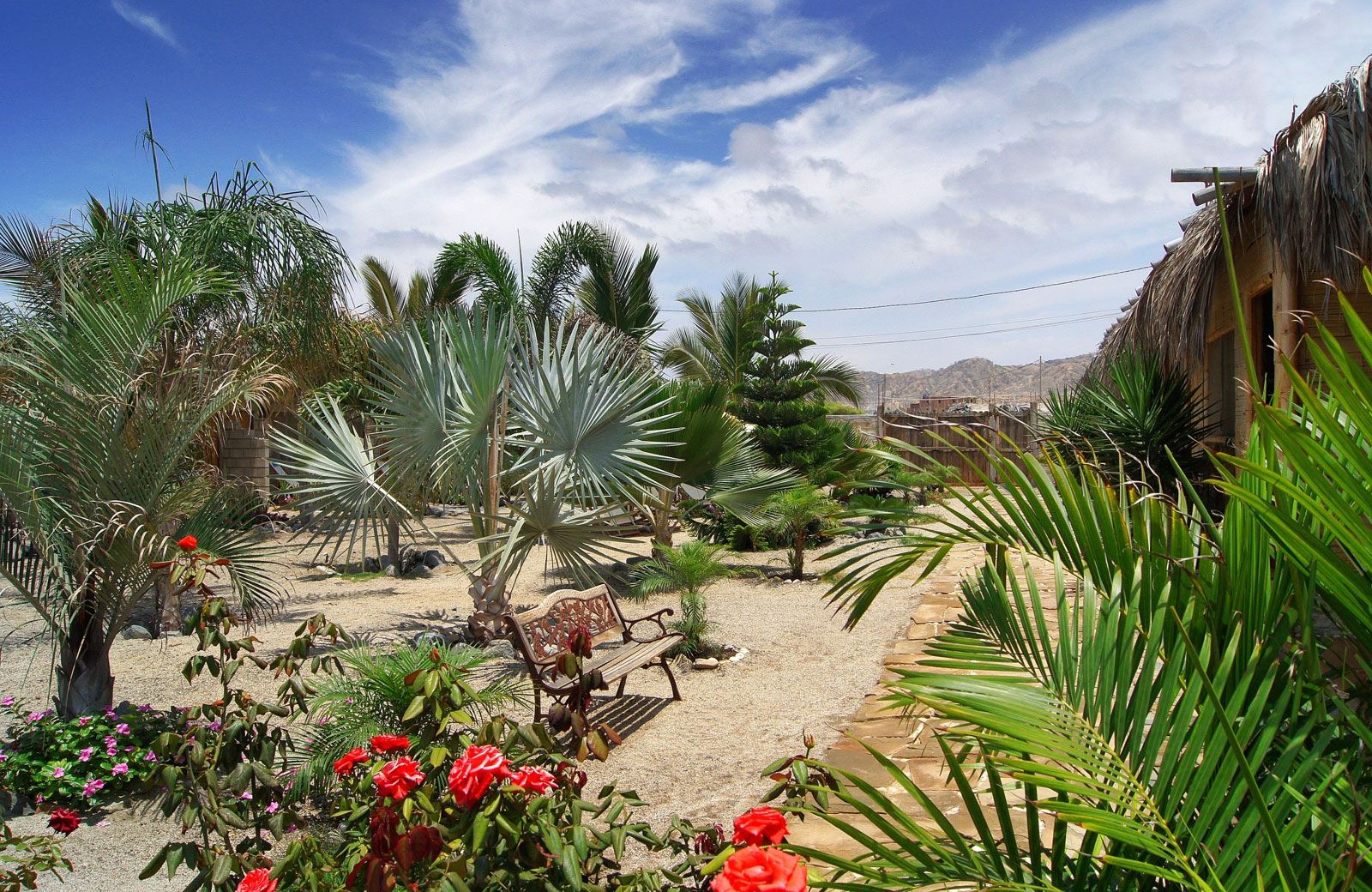 Outdoor view