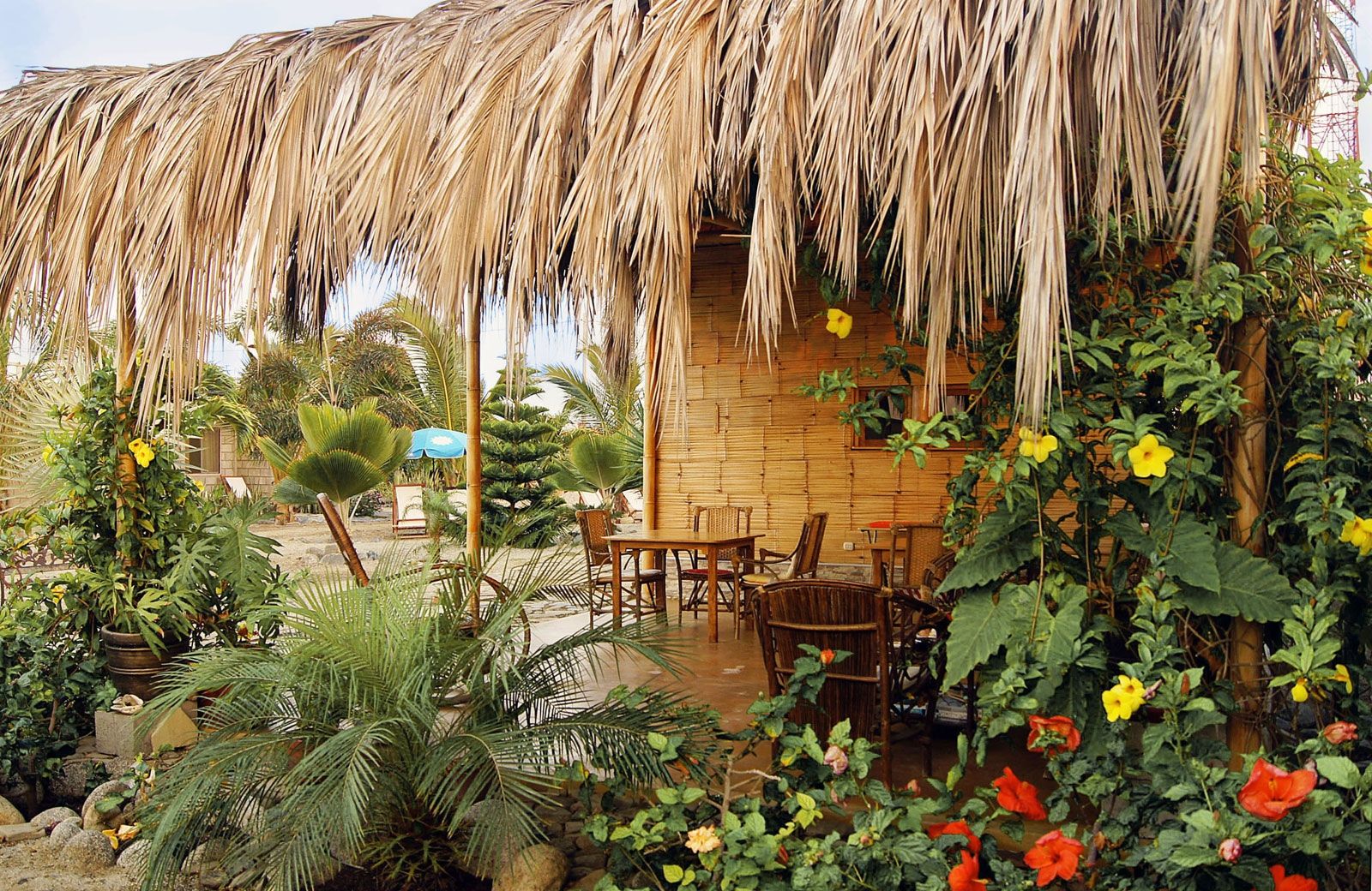 Outdoor view Photo