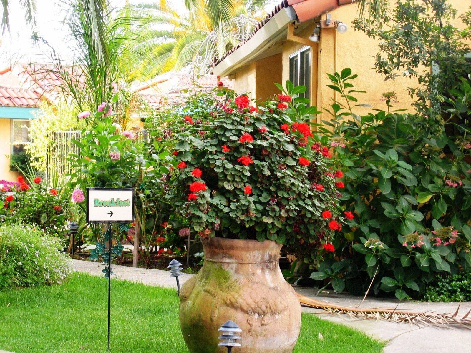 Outdoor view