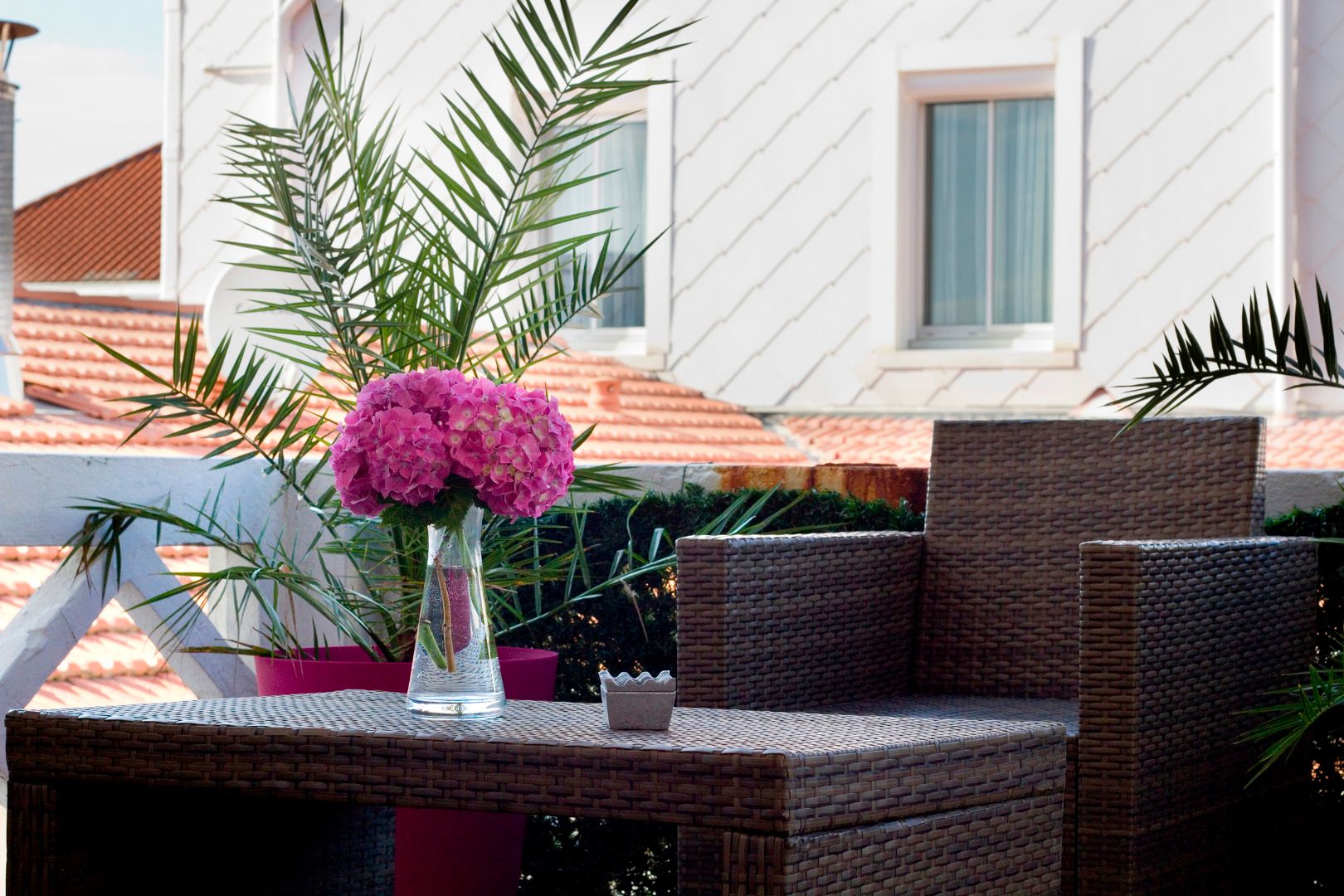 Outdoor view