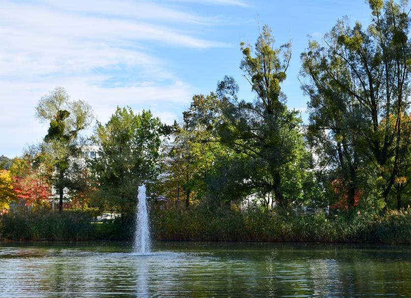 Outdoor view Photo