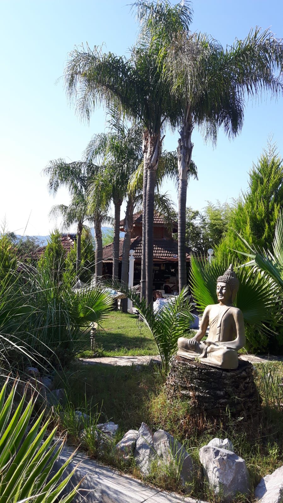 Outdoor view