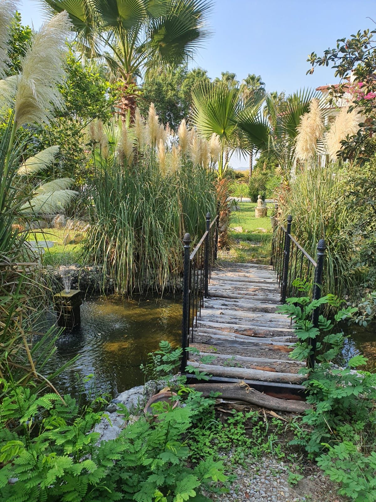 Outdoor view