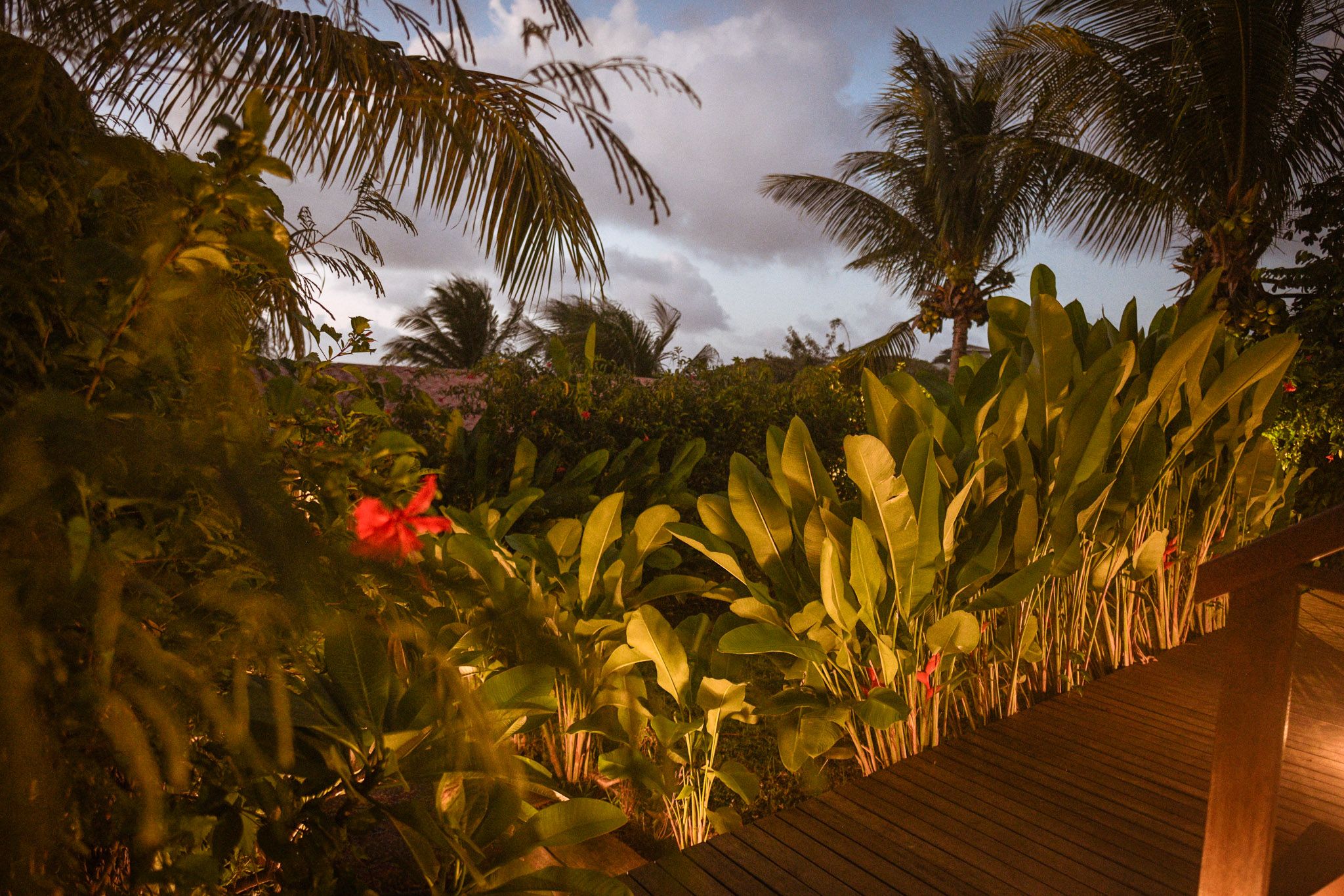 Outdoor view