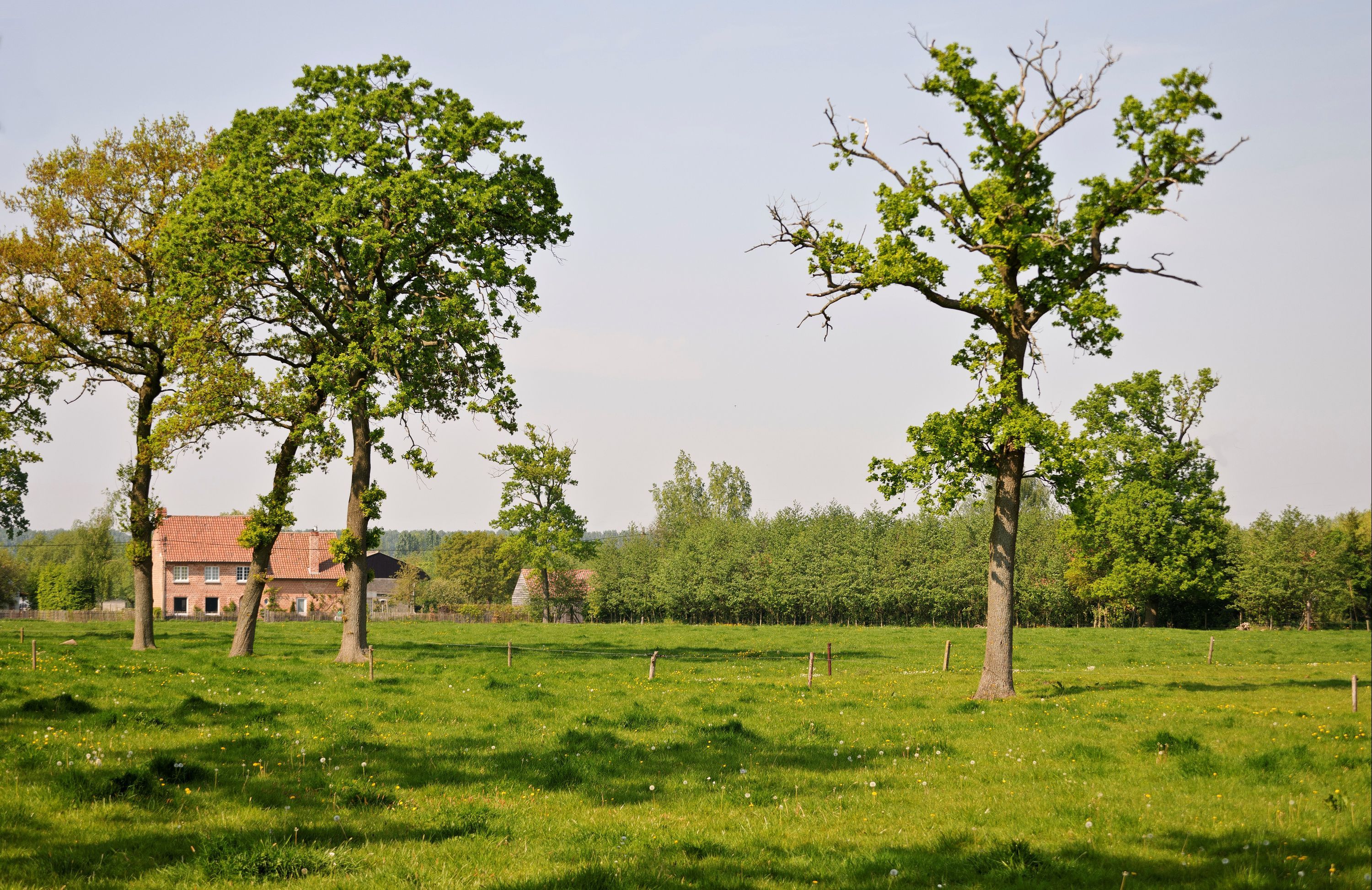 Outdoor view