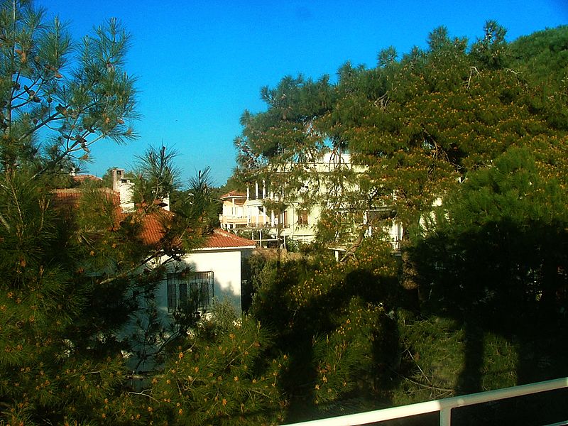 Outdoor view