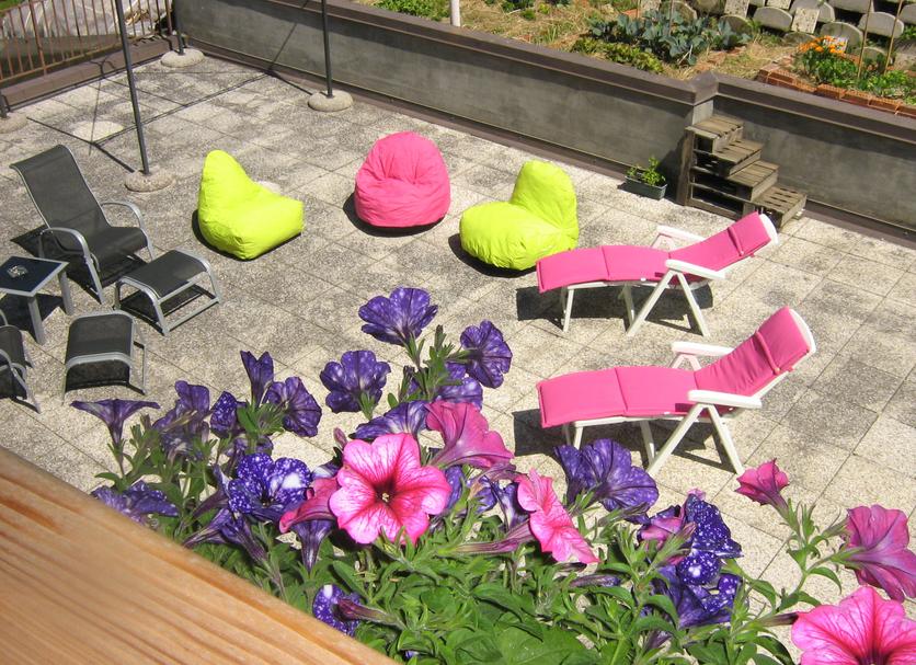 Patio Photo