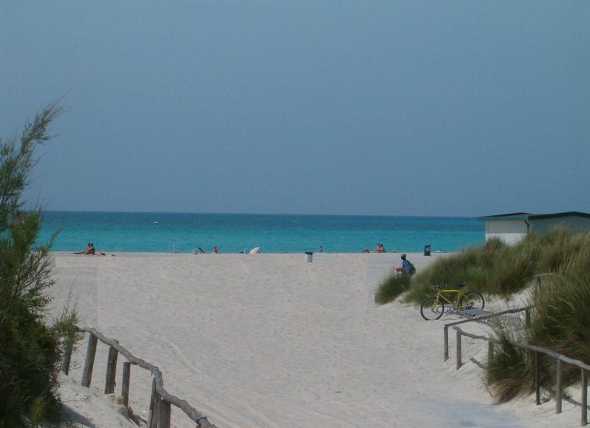 Beach Photo