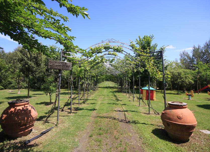 Outdoor view Photo