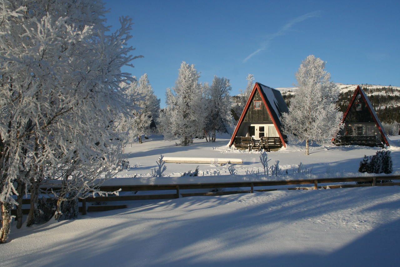 Outdoor view