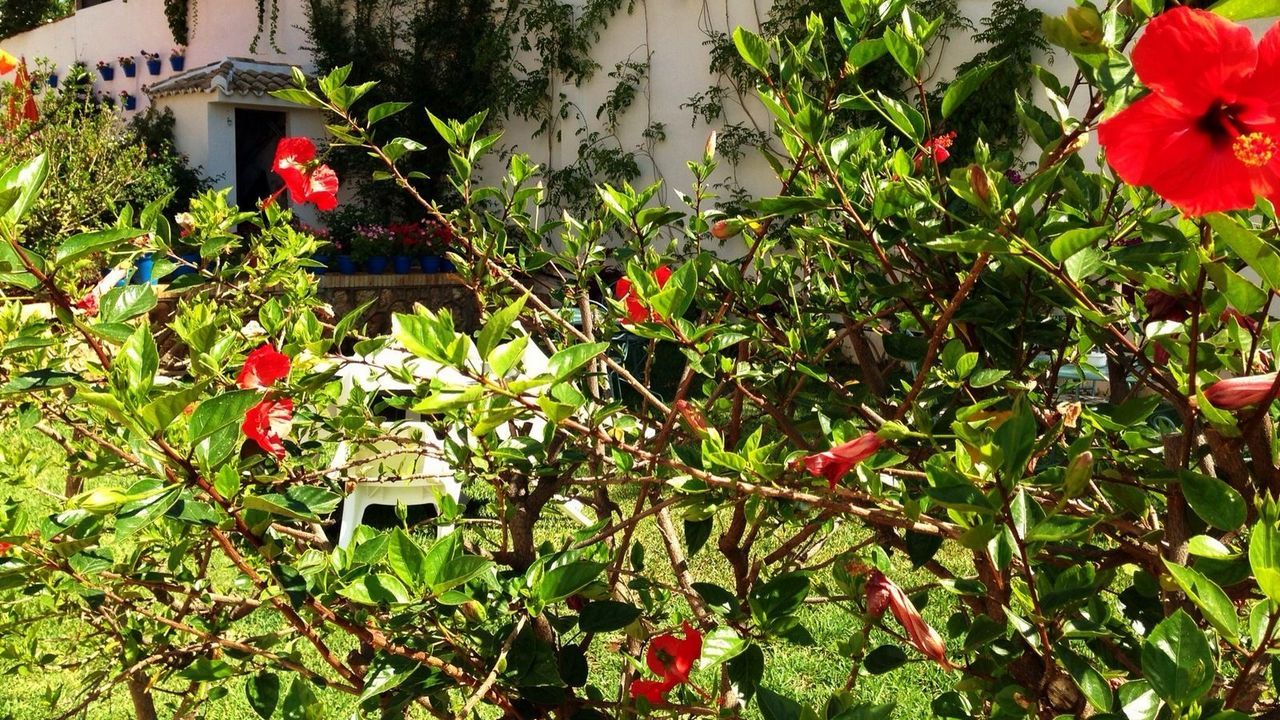 Outdoor view